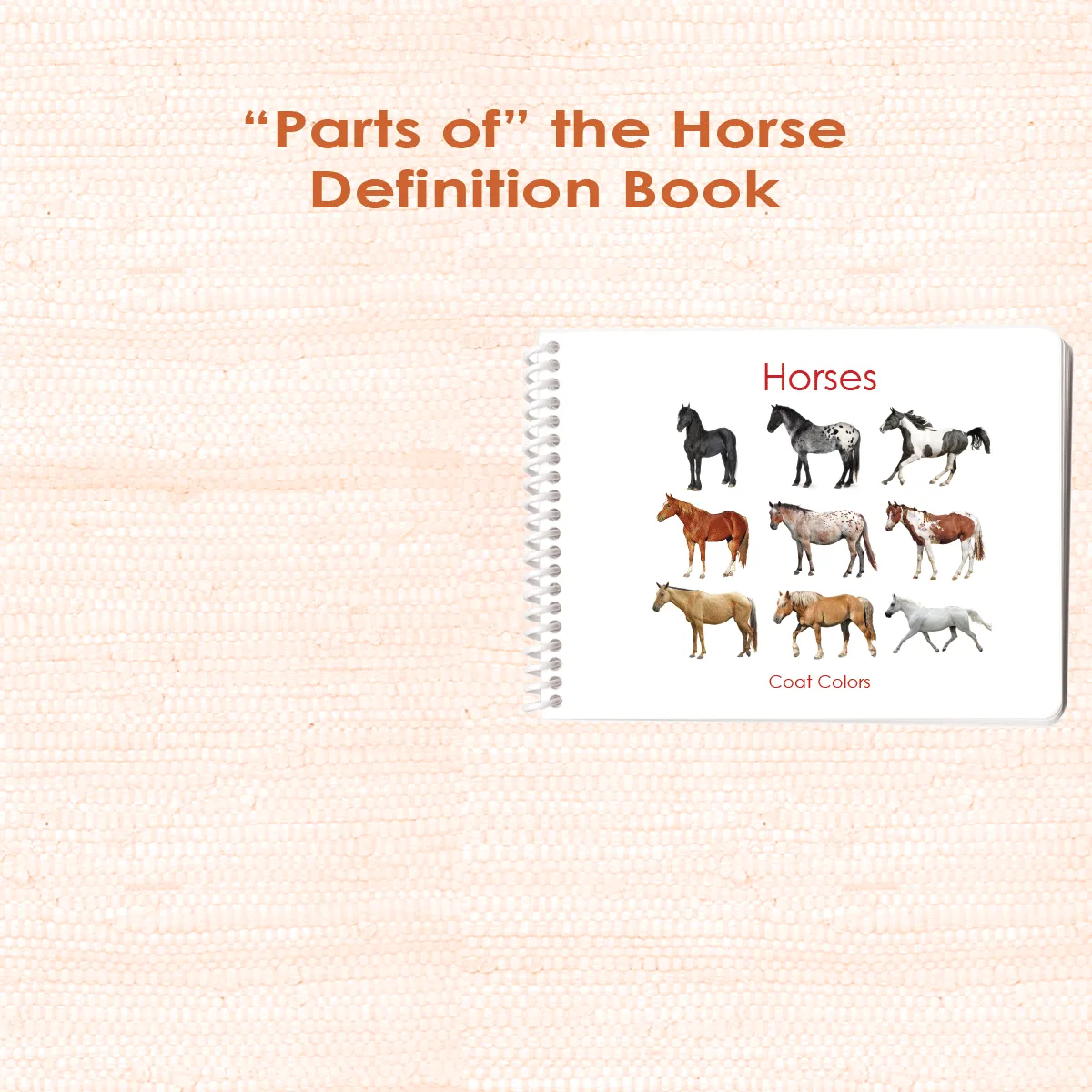Horses (Coat Colors) Book