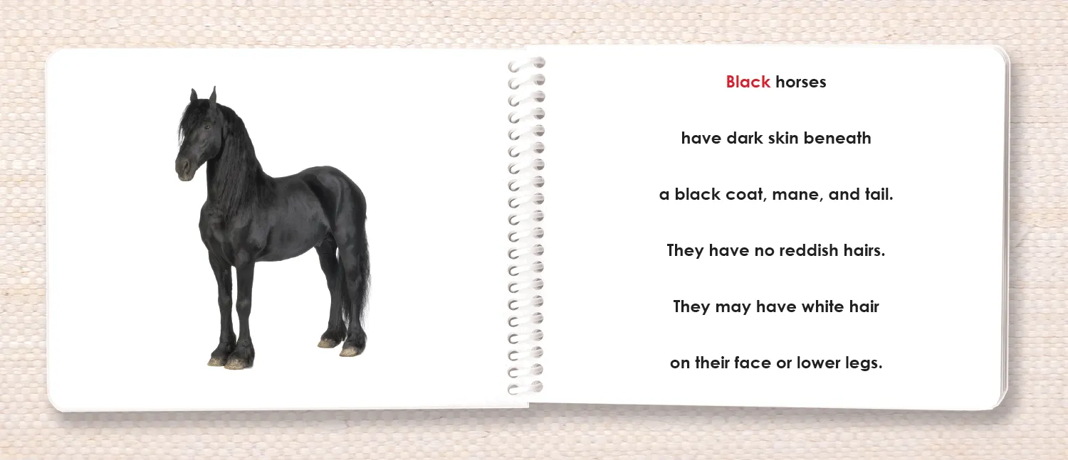 Horses (Coat Colors) Book