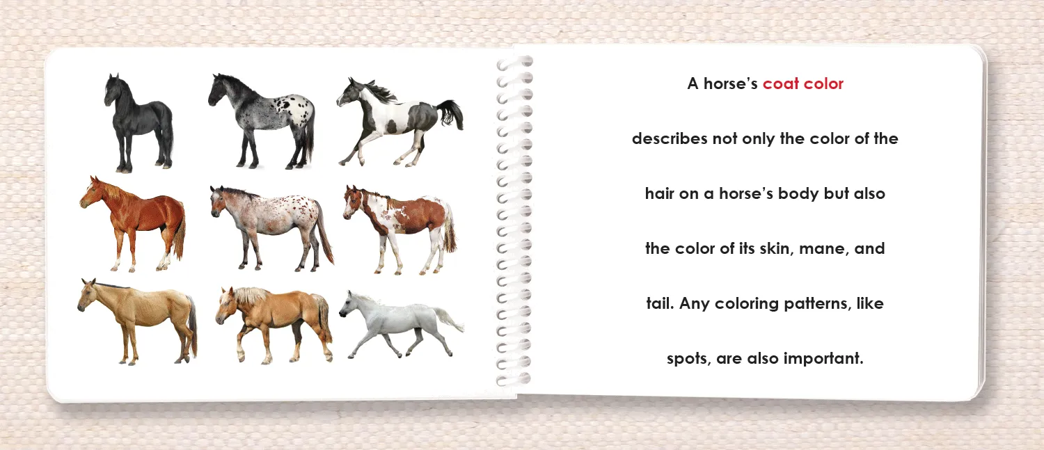 Horses (Coat Colors) Book